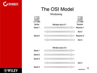 The OSI Model
   Windowing




                18
 