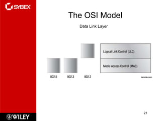 The OSI Model
  Data Link Layer




                    21
 