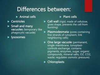 Difference Between Cell Shell Chapter 1 Cell structures.pptx