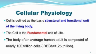 Cellular Physiology
 Cell is defined as the basic structural and functional unit
of the living body.
 The Cell is the Fundamental unit of Life.
The body of an average human adult is composed of
nearly 100 trillion cells ( RBCs=> 25 trillion).
24
 