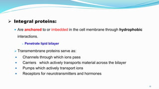  Integral proteins:
 Are anchored to or imbedded in the cell membrane through hydrophobic
interactions.
 Penetrate lipid bilayer
 Transmembrane proteins serve as:
 Channels through which ions pass
 Carriers which actively transports material across the bilayer
 Pumps which actively transport ions
 Receptors for neurotransmitters and hormones
35
 
