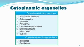 Cytoplasmic organelles
38
 