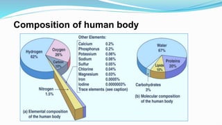 Composition of human body
 
