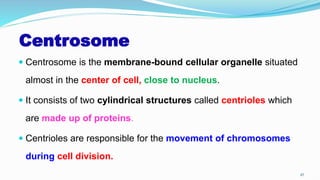 Centrosome
 Centrosome is the membrane-bound cellular organelle situated
almost in the center of cell, close to nucleus.
 It consists of two cylindrical structures called centrioles which
are made up of proteins.
 Centrioles are responsible for the movement of chromosomes
during cell division.
47
 