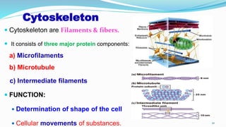 Cytoskeleton
 Cytoskeleton are Filaments & fibers.
 It consists of three major protein components:
a) Microfilaments
b) Microtubule
c) Intermediate filaments
 FUNCTION:
 Determination of shape of the cell
 Cellular movements of substances. 50
 