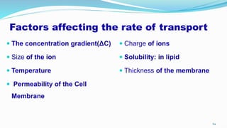Factors affecting the rate of transport
 The concentration gradient(ΔC)
 Size of the ion
 Temperature
 Permeability of the Cell
Membrane
 Charge of ions
 Solubility: in lipid
 Thickness of the membrane
64
 