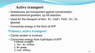 66
Active transport
 Substances are transported against concentration,
electrochemical gradient, up hill direction.
 Used for the transport of Na+, K+, Ca2+, Fe2+, H+, Cl-,
glucose
 Consumes energy in the form of ATP
Primary active transport
 Carrier protein is involved
 Consumes energy from hydrolysis of ATP
Common examples
1. Na+ - K+ ATPase
2. H+ pump
3. Ca2+ ATPase
 