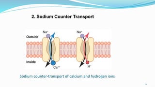 Sodium counter-transport of calcium and hydrogen ions
70
2. Sodium Counter Transport
 
