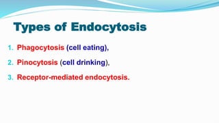 Types of Endocytosis
1. Phagocytosis (cell eating),
2. Pinocytosis (cell drinking),
3. Receptor-mediated endocytosis.
 