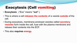 Exocytosis (Cell vomiting)
 Exocytosis: (“Exo” means “out”.)
 This is where a cell releases the contents of a vesicle outside of the
cell.
 During exocytosis, membrane-enclosed vesicles called secretory
vesicles form inside the cell, fuse with the plasma membrane and
release their contents into the ECF.
 This also requires energy.
 