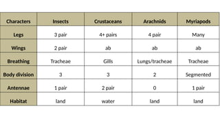 Insect Division chapter 1_Characteristics and classification of living things.pptxIGCSE ...