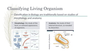 Chapter 1 Characteristics and Classification of Organisms.pptx