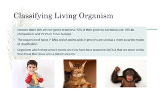 Chapter 1 Characteristics and Classification of Organisms.pptx