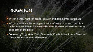 IRRIGATION
 Water is important for proper growth and development of plants.
 Water is essential because germination of seeds does not take place
under dry conditions. Nutrients dissolved in water get transported to
each part of the plant.
 Sources of Irrigation: Wells,Tube wells, Ponds, Lakes, Rivers, Dams and
Canals are the sources of Irrigation.
 