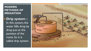 MODERN
METHODS OF
IRRIGATION
 Drip system :
In this system,the
water falls drop by
drop just at the
position of the
roots.So it is
called drip system.
 