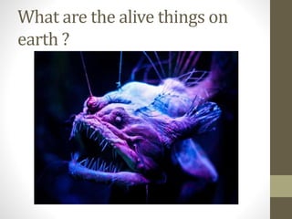 What are the alive things on
earth ?
 