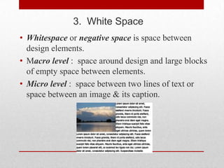 3. White Space
• Whitespace or negative space is space between
  design elements.
• Macro level : space around design and large blocks
  of empty space between elements.
• Micro level : space between two lines of text or
  space between an image & its caption.
 
