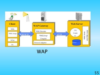 55
WAP
 