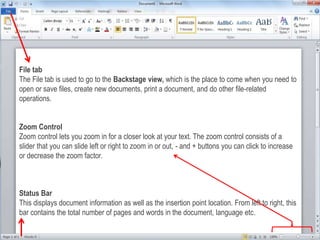 Microsoft Word 2010 | PPTX