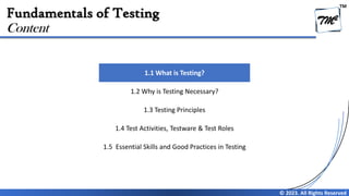 Chapter 1 - Fundamentals of Testing V4.0 | PDF