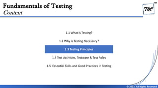 Chapter 1 - Fundamentals of Testing V4.0 | PDF