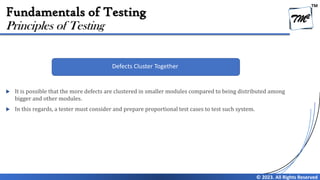 Chapter 1 - Fundamentals of Testing V4.0 | PDF
