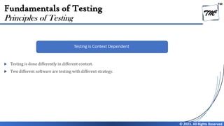 Chapter 1 - Fundamentals of Testing V4.0 | PDF