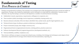 Chapter 1 - Fundamentals of Testing V4.0 | PDF