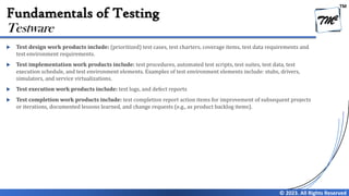 Chapter 1 - Fundamentals of Testing V4.0 | PDF