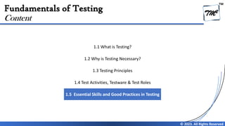 Chapter 1 - Fundamentals of Testing V4.0 | PDF