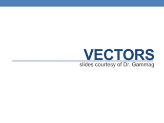 VECTORSslides courtesy of Dr. Gammag
 