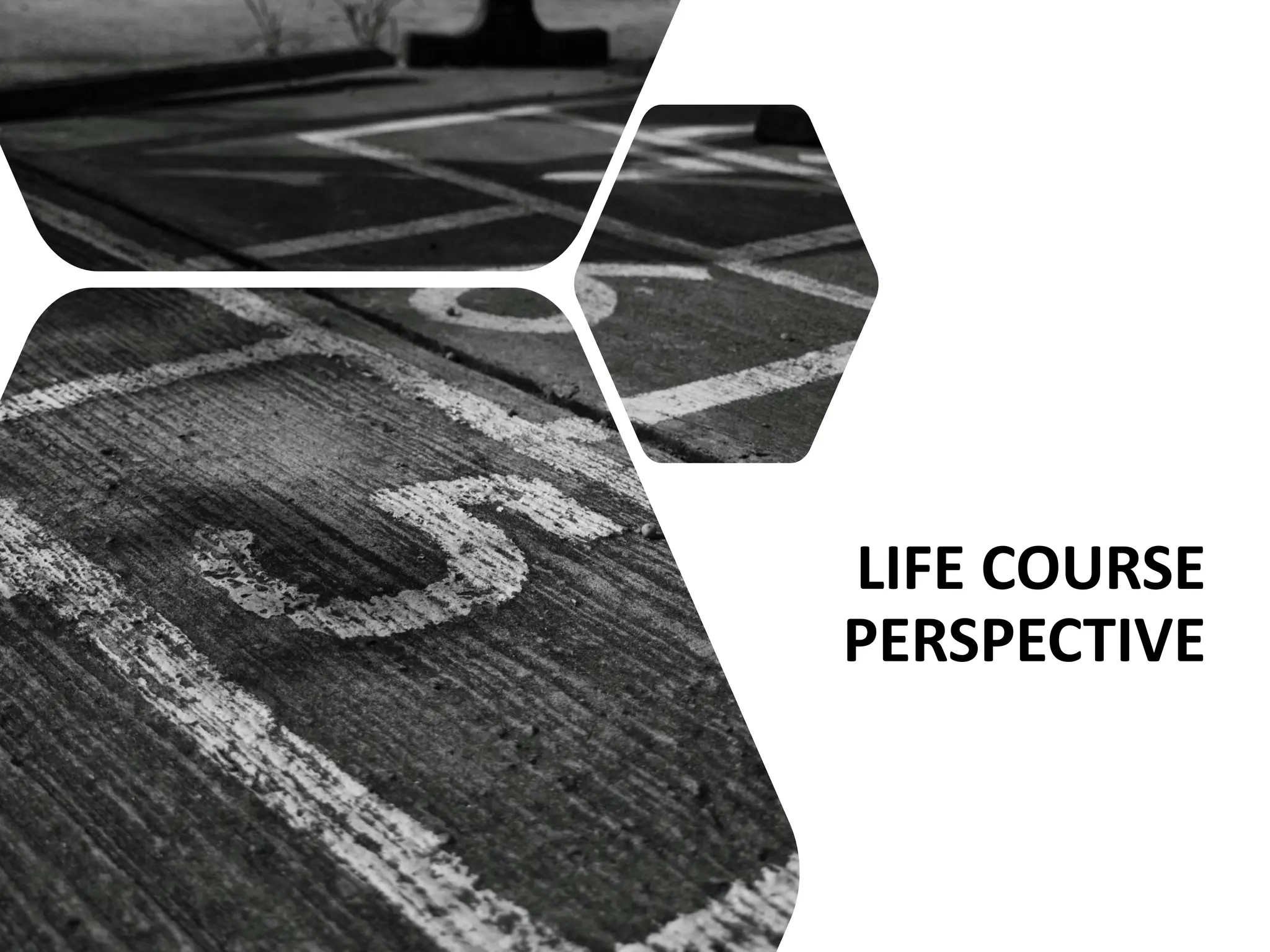 LIFE COURSE
PERSPECTIVE
 