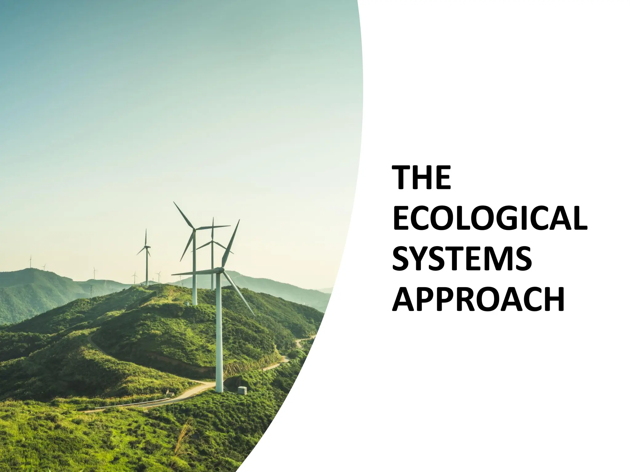 THE
ECOLOGICAL
SYSTEMS
APPROACH
 