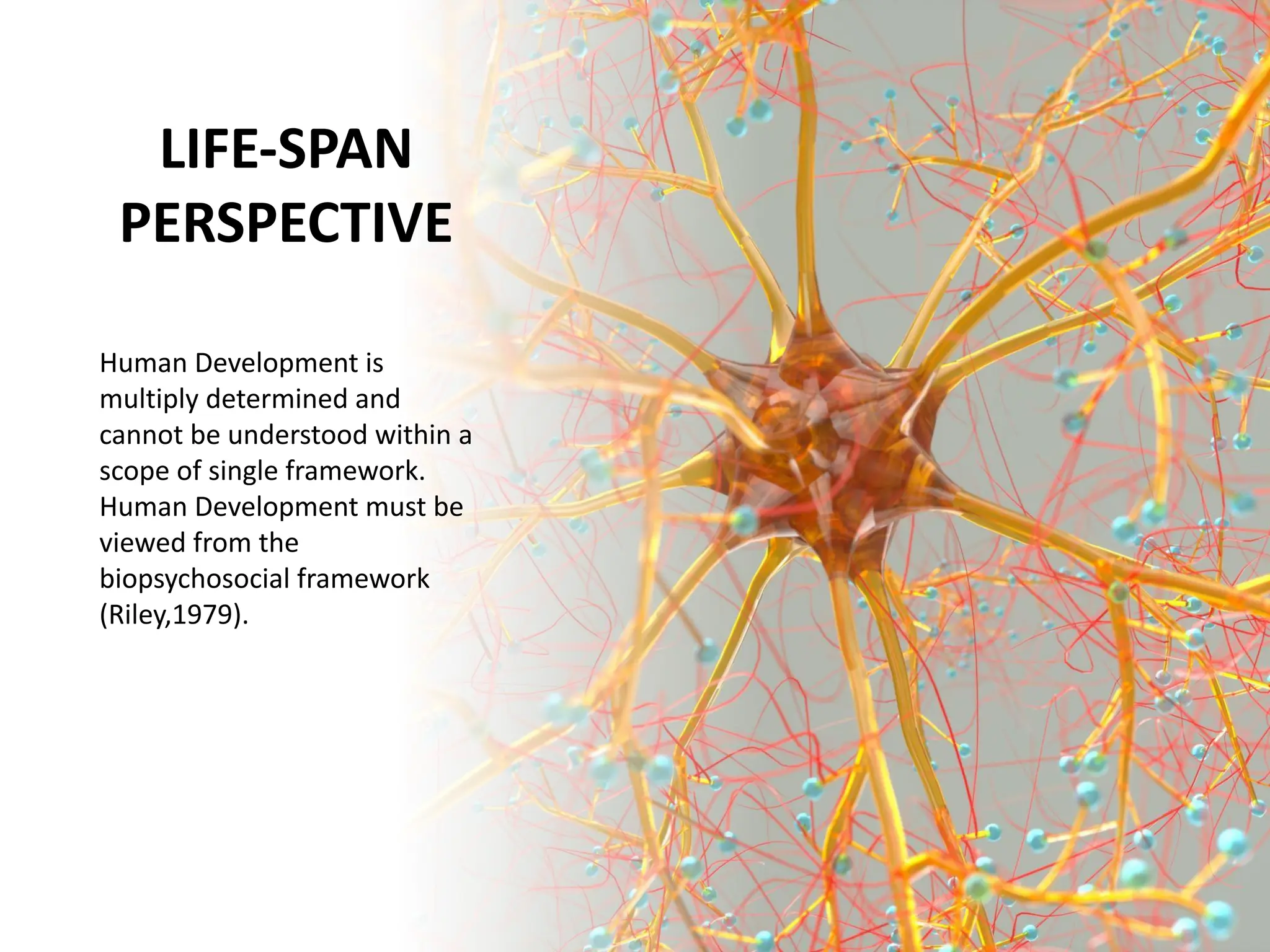 LIFE-SPAN
PERSPECTIVE
Human Development is
multiply determined and
cannot be understood within a
scope of single framework.
Human Development must be
viewed from the
biopsychosocial framework
(Riley,1979).
 