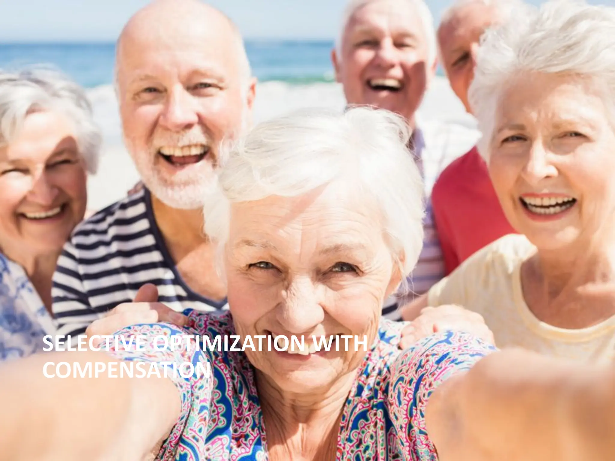 SELECTIVE OPTIMIZATION WITH
COMPENSATION
 