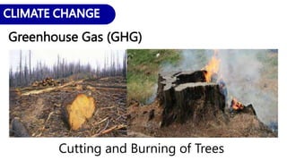 Greenhouse Gas (GHG)
Cutting and Burning of Trees
 