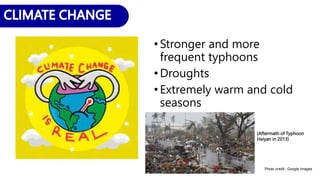 •Stronger and more
frequent typhoons
•Droughts
•Extremely warm and cold
seasons
(Aftermath of Typhoon
Haiyan in 2013)
Photo credit:: Google Images
 