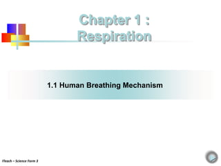 1.1 Human Breathing Mechanism
Chapter 1 :
Respiration
ITeach – Science Form 3
 