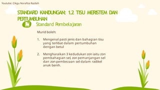 ST
ANDARD KANDUNGAN: 1.2 TISU MERISTEM DAN
PERTUMBUHAN
Standard Pembelajaran
Murid boleh:
1. Mengenal pasti jenis dan bahagian tisu
yang terlibat dalam pertumbuhan
dengan betul
2. Menghuraikan 3 kedudukan zon iaitu zon
pembahagian sel, zon pemanjangan sel
dan zon pembezaan sel dalam radikel
anak benih.
Youtube: Cikgu Norafiza Razilah
 
