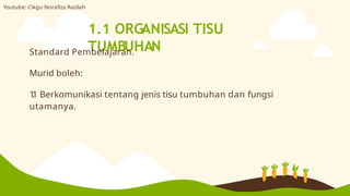 1.1 ORGANISASI TISU
TUMBUHAN
Standard Pembelajaran.
Murid boleh:
1
.
1 Berkomunikasi tentang jenis tisu tumbuhan dan fungsi
utamanya.
Youtube: Cikgu Norafiza Razilah
 