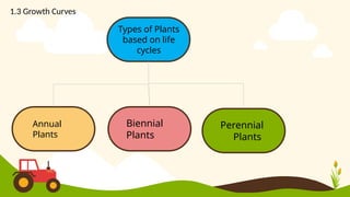 Types of Plants
based on life
cycles
Biennial
Plants
Annual
Plants
Perennial
Plants
1.3 Growth Curves
 