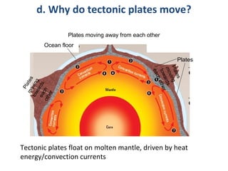 d. Why do tectonic plates move? 
Plates moving away from each other 
Ocean floor 
Plates 
moving 
towards 
each 
other 
Plates 
Plates 
moving 
towards 
each other 
Tectonic plates float on molten mantle, driven by heat 
energy/convection currents 
 