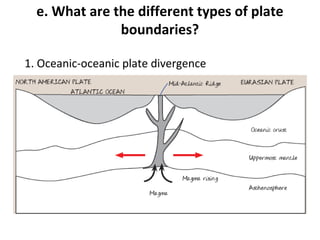 e. What are the different types of plate 
boundaries? 
1. Oceanic-oceanic plate divergence 
 
