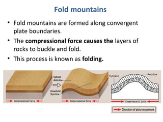 Fold mountains 
• Fold mountains are formed along convergent 
plate boundaries. 
• The compressional force causes the layers of 
rocks to buckle and fold. 
• This process is known as folding. 
 