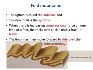 Fold mountains 
• The upfold is called the anticline and 
• The downfold is the syncline. 
• When there is increasing compressional force on one 
limb of a fold, the rocks may buckle until a fracture 
forms. 
• The limb may then move forward to ride over the 
other limb 
 
