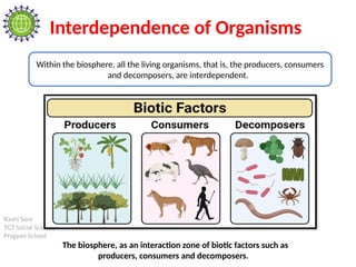 Rashi Soni
TGT Social Science
Pragyan School
Interdependence of Organisms
Within the biosphere, all the living organisms, that is, the producers, consumers
and decomposers, are interdependent.
The biosphere, as an interaction zone of biotic factors such as
producers, consumers and decomposers.
 