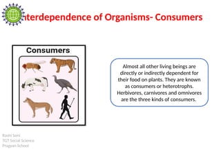 Rashi Soni
TGT Social Science
Pragyan School
Interdependence of Organisms- Consumers
Almost all other living beings are
directly or indirectly dependent for
their food on plants. They are known
as consumers or heterotrophs.
Herbivores, carnivores and omnivores
are the three kinds of consumers.
 