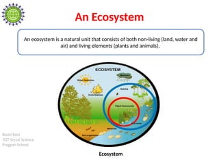 Rashi Soni
TGT Social Science
Pragyan School
An Ecosystem
An ecosystem is a natural unit that consists of both non-living (land, water and
air) and living elements (plants and animals).
Ecosystem
 
