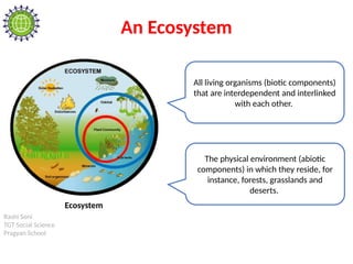 Rashi Soni
TGT Social Science
Pragyan School
An Ecosystem
Ecosystem
All living organisms (biotic components)
that are interdependent and interlinked
with each other.
The physical environment (abiotic
components) in which they reside, for
instance, forests, grasslands and
deserts.
 