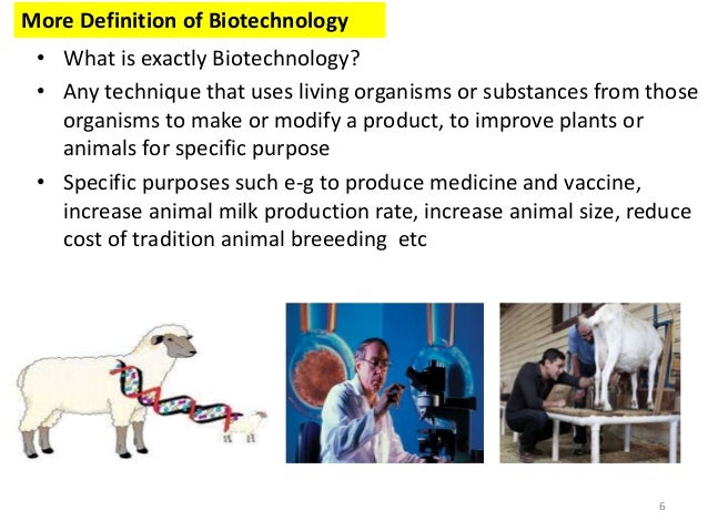 phd in animal biotechnology